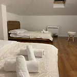 Nn 科尔察